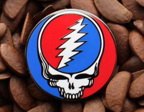 Grateful Dead Pins Steal Your Face Pin