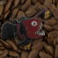 BHO Pins Monkfish Anglerfish Pin