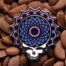 Grateful Dead Pins Torus Aerial View Pin