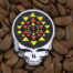 Grateful Dead Pins Shri Yantra Pin